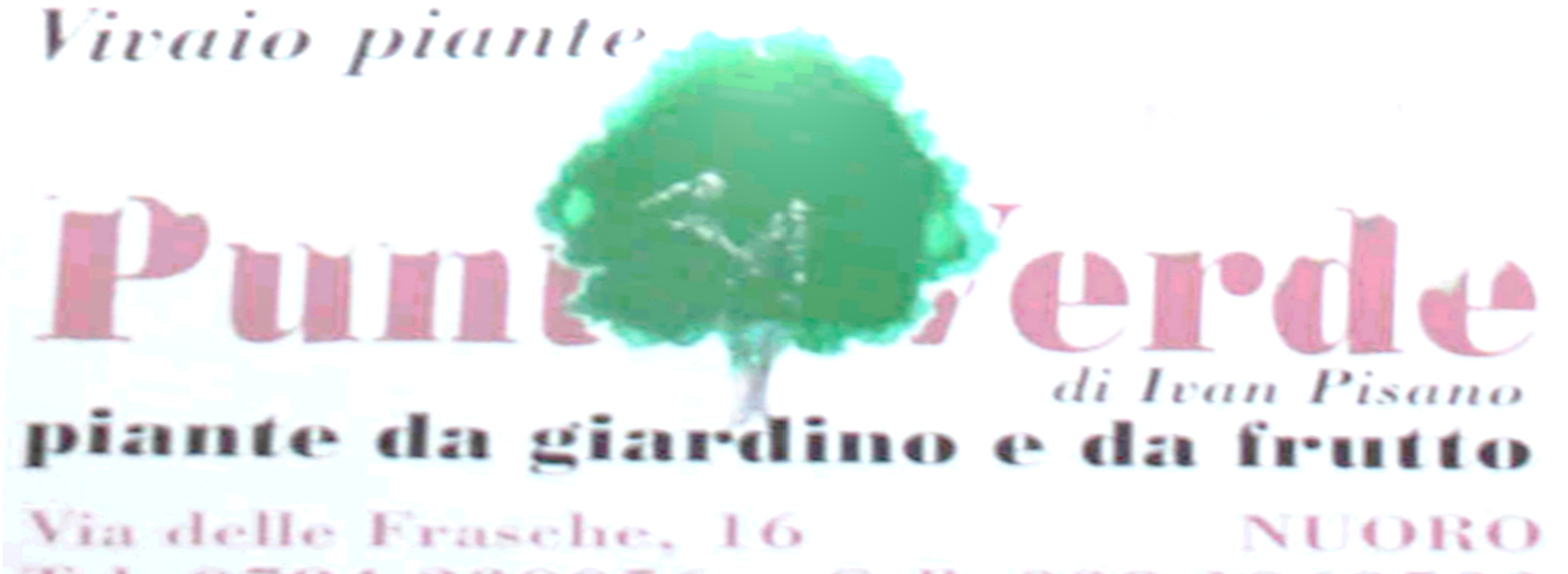 logo_punto_verde.jpg